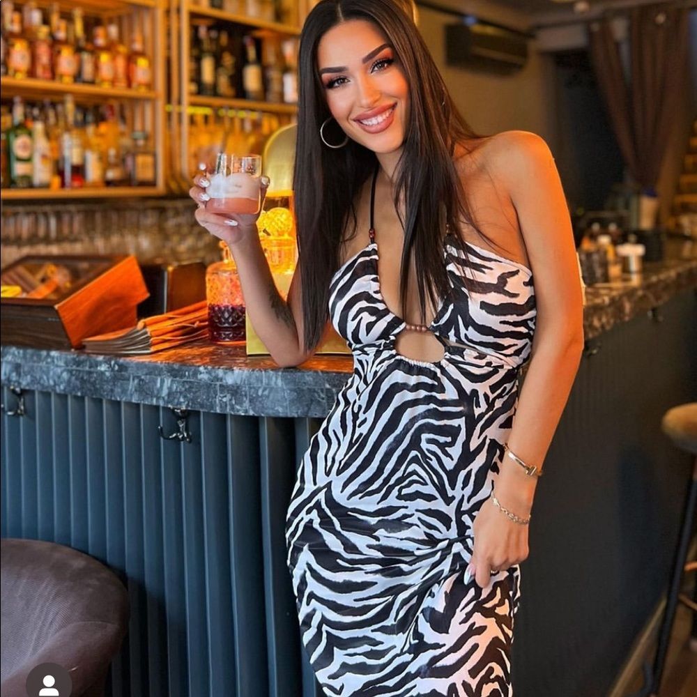 Zara Satin Effect Animal Print Cut Out Dress